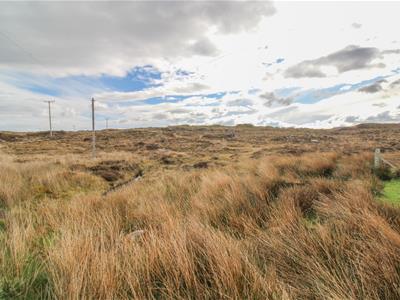 Picture 24